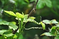 17 05 15_4233_edited-1